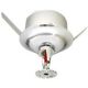 2.0 MP 1080P AHD Sprinkler Spy Colour CCTV Hidden Camera 