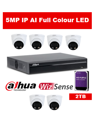 6 x 5MP Dahua Full Colour IP Camera with 8 Channel NVR and 2TB HDD